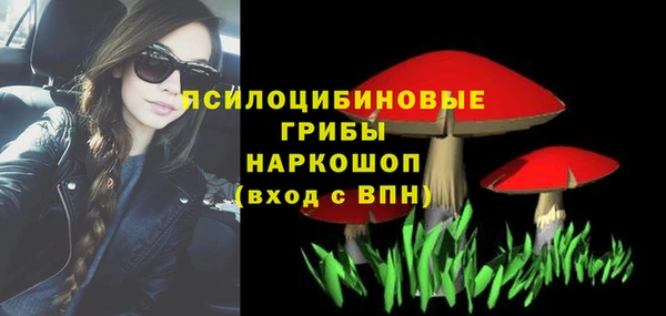 spice Баксан