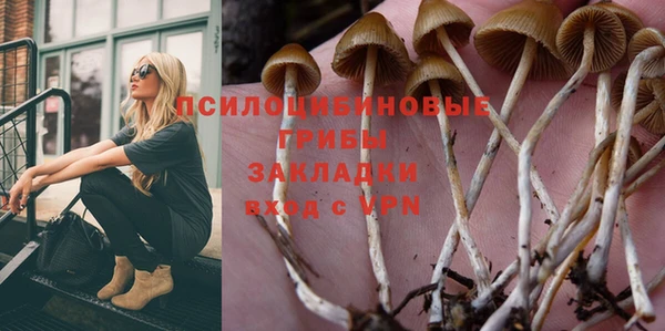 PSILOCYBIN Осинники