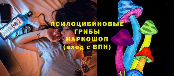 spice Баксан