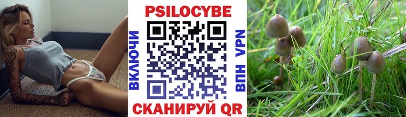 Псилоцибиновые грибы мухоморы Пойковский